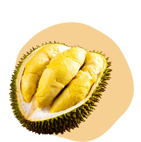 泰國(guó)榴蓮